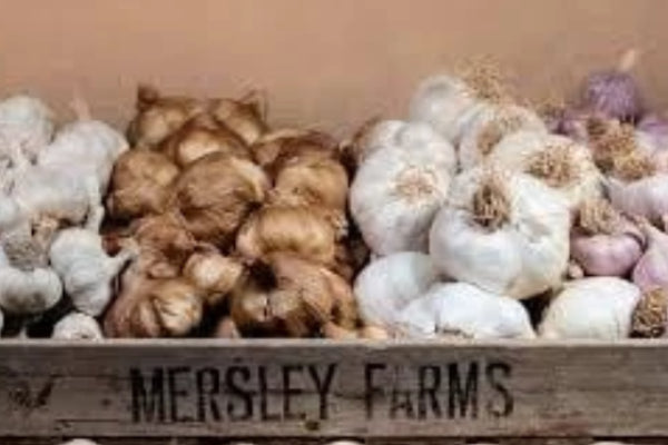 Oak Smoked Garlic Bulb - Applegarth Online Farmshop