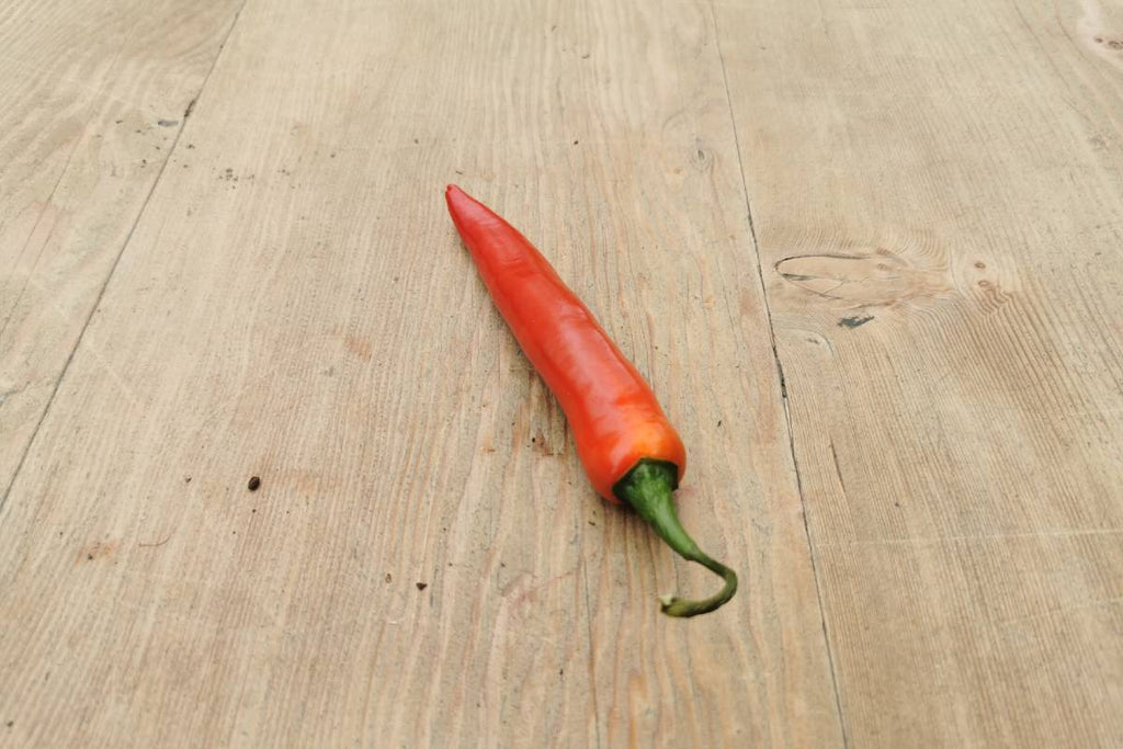 Red Chilli Pepper - Applegarth Online Farmshop