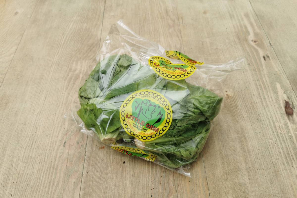 Little Gem Lettuce - Applegarth Online Farmshop