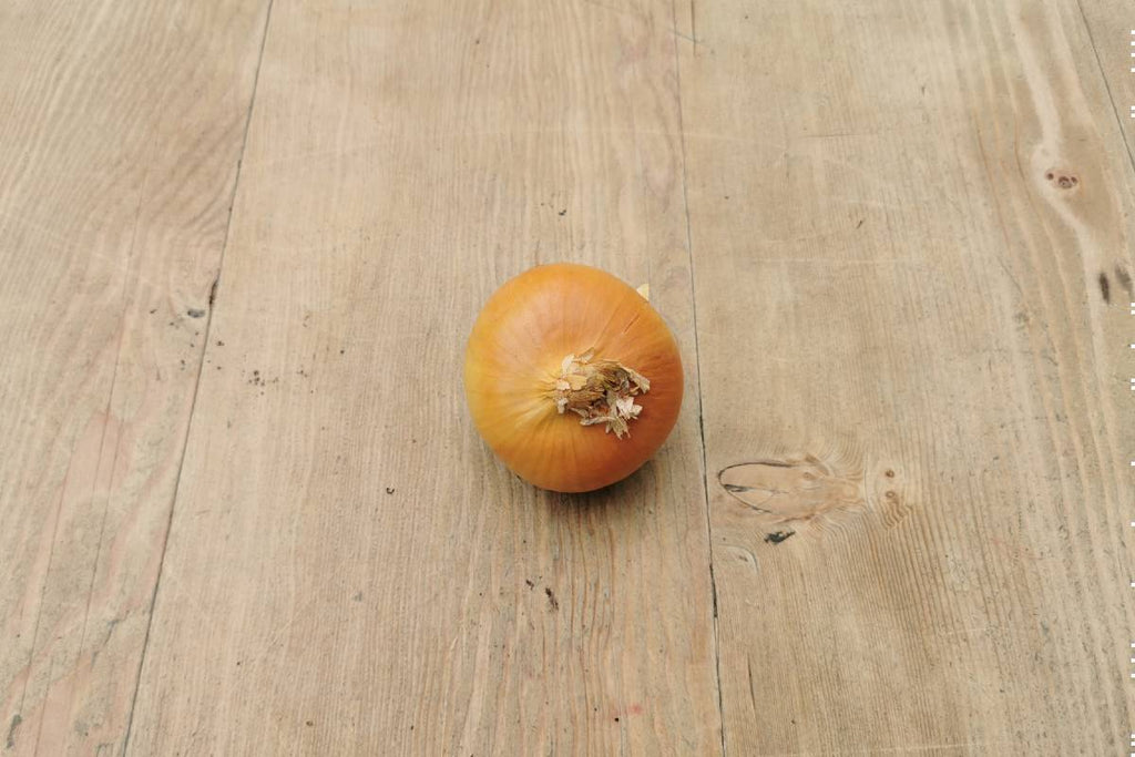 English Onions - Applegarth Online Farmshop