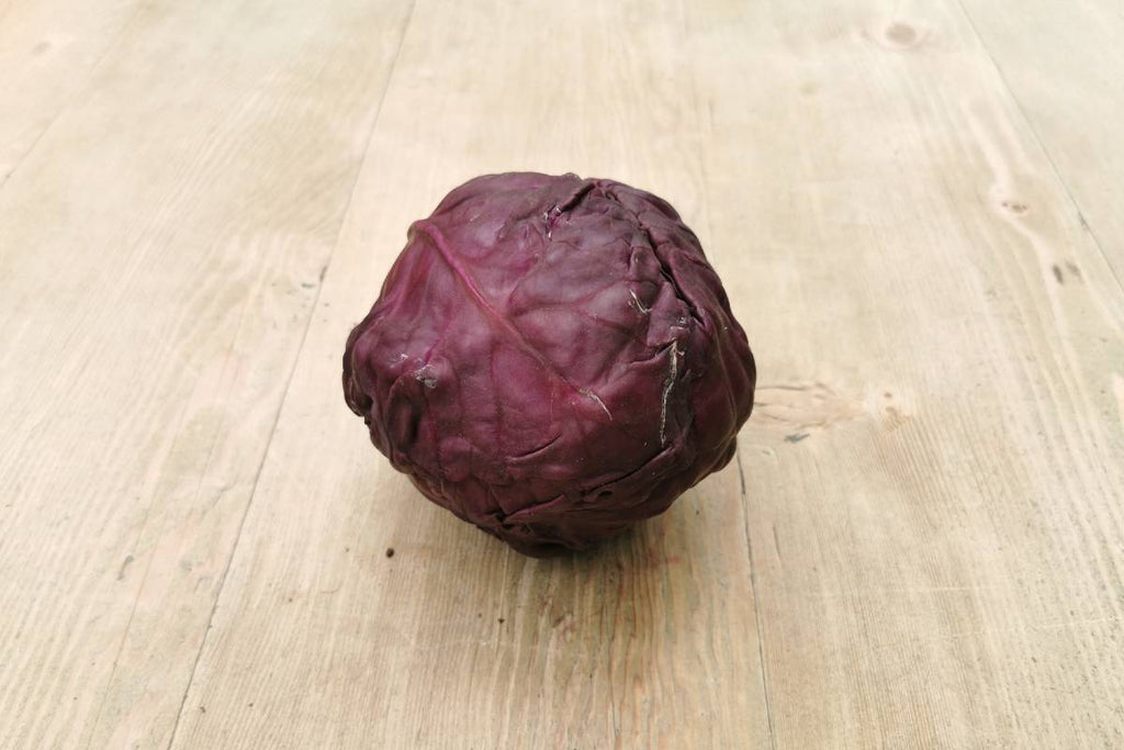 Red Cabbage - Applegarth Online Farmshop