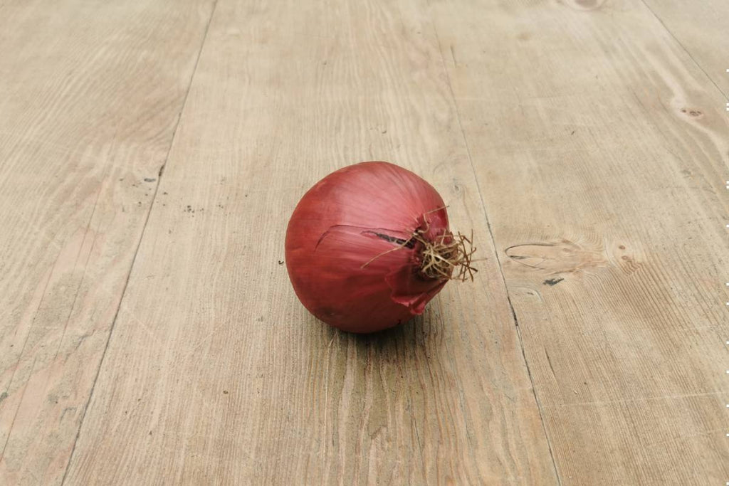 Red Onions - Applegarth Online Farmshop