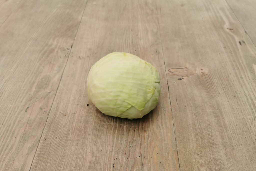 White Cabbage - Applegarth Online Farmshop