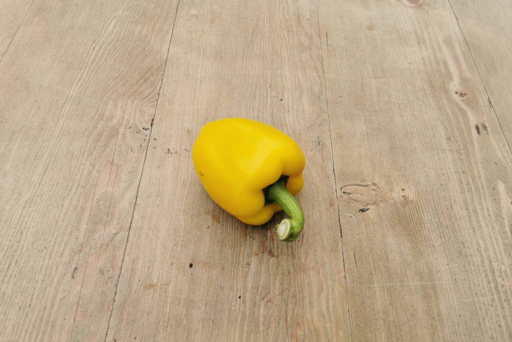 Yellow Pepper - Applegarth Online Farmshop